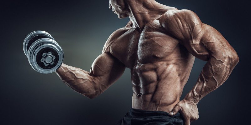 SARMs: The Ultimate Guide (Side Effects & Benefits)