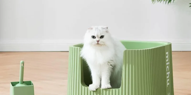 No More Mess: How High Walls in Cat Litter Boxes Can Save Your Day
