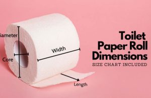 Understanding Toilet Paper Roll Dimensions