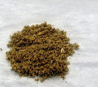 Liquid Herbal Incense vs. K2 Spray: What’s the Difference?