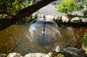 How to Choose a Koi Pond Pump: The Art of Balancing Flow, Durability, and Energy Efficiency