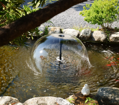 How to Choose a Koi Pond Pump: The Art of Balancing Flow, Durability, and Energy Efficiency