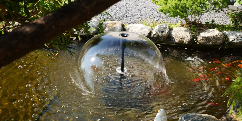 How to Choose a Koi Pond Pump: The Art of Balancing Flow, Durability, and Energy Efficiency