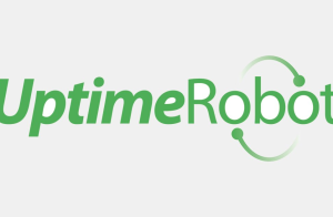 Save Your Traffic: How Uptime Robot Keeps You Online 24/7