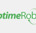 Save Your Traffic: How Uptime Robot Keeps You Online 24/7