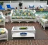 Porch Furniture Essentials for Curb Appeal