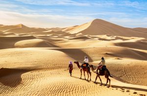 Solo vs. Guided: Why a Morocco Travel Agency is the Safer Choice