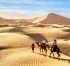 Solo vs. Guided: Why a Morocco Travel Agency is the Safer Choice